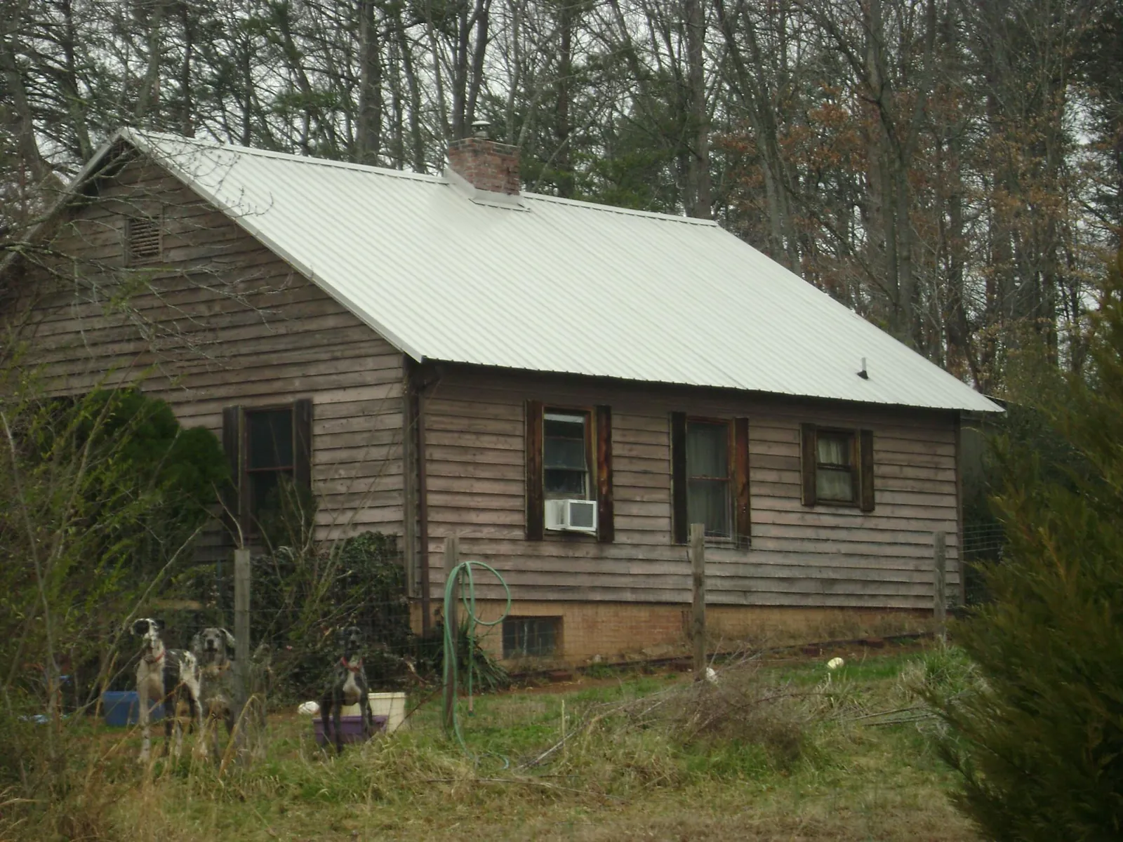 White metal roof on an old wood sided farmhouse, from a Asphalt Shingle Roof Repair job in Bronson